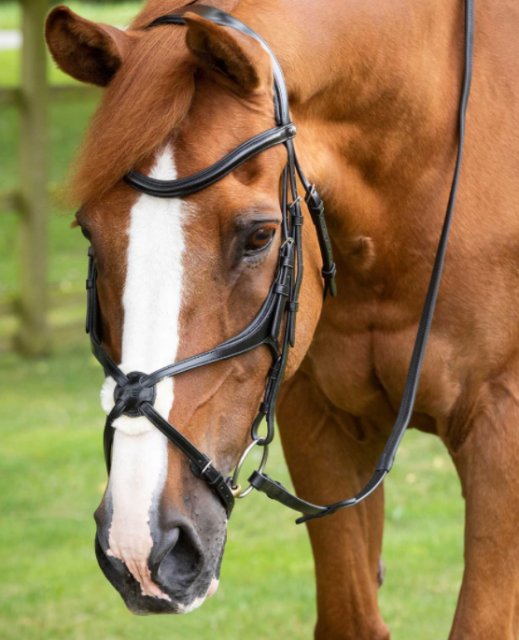 Premier Equine Premier Equine Glorioso Grackle Bridle Black