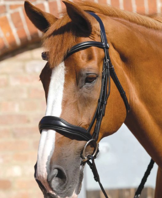 Premier Equine Premier Equine Verdura Anatomic Snaffle Bridle