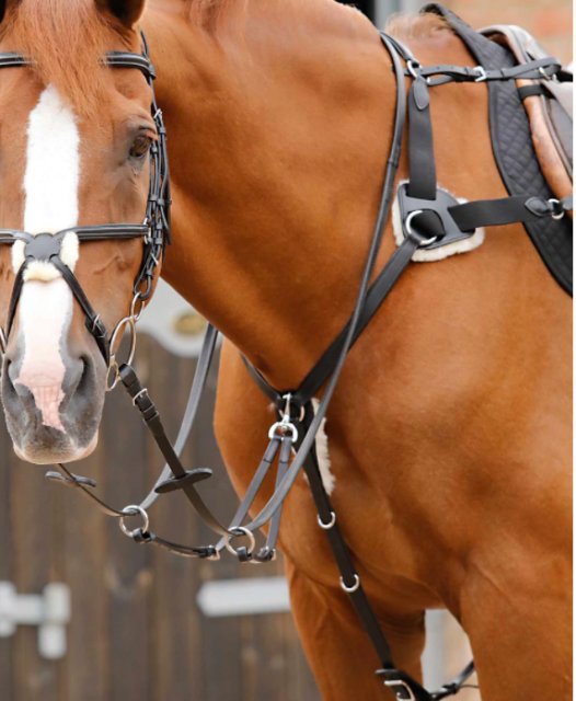 Premier Equine Premier Equine Invorio 5 Point Breastplate