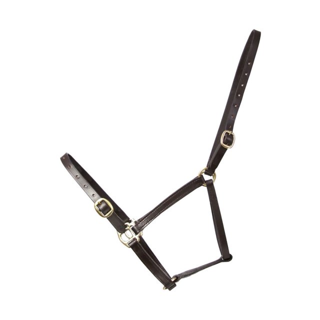 Hy Equestrian Leather Foal Headcollar