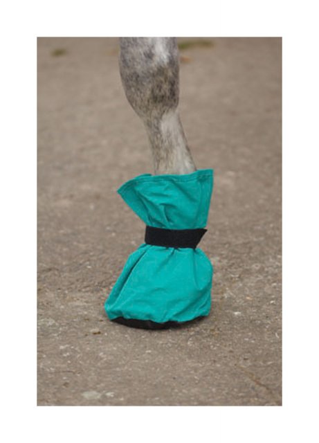 Unbranded Canvas Poultice Boot