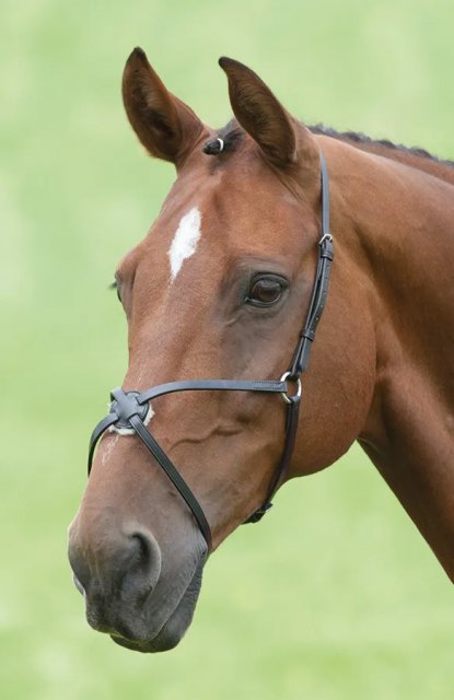 Shires Equestrian Shires Velociti Mexican Grakle Noseband