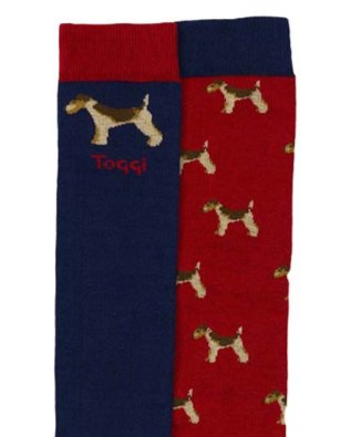 Toggi Toggi Womens Terrier Socks 2pk  Blue / Red