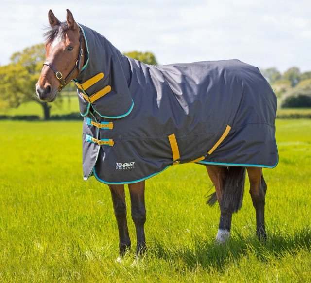 Shires Equestrian Shires Tempest Original 300 Combo Turnout Rug