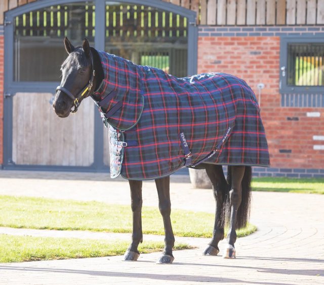 Shires Equestrian Shires Tempest Plus 100 Stable Combo