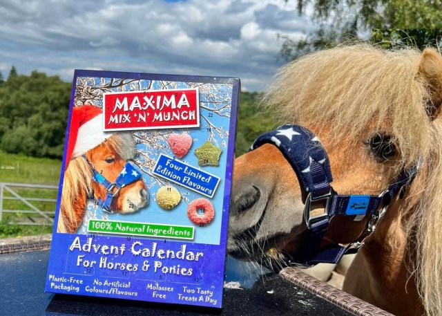 Maxima Equestrian Maxima Mix N Munch Advent  Calendar