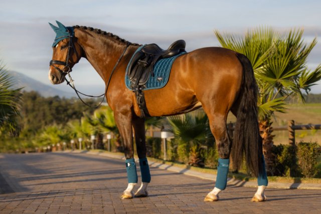 Lemieux - Tapis de dressage suèdine - Marine - Sellerie EHC