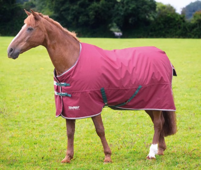 Shires Equestrian Shires Tempest Original 200 Standard Neck Maroon