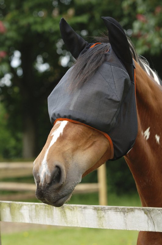 Equilibrium Midi Fly Mask