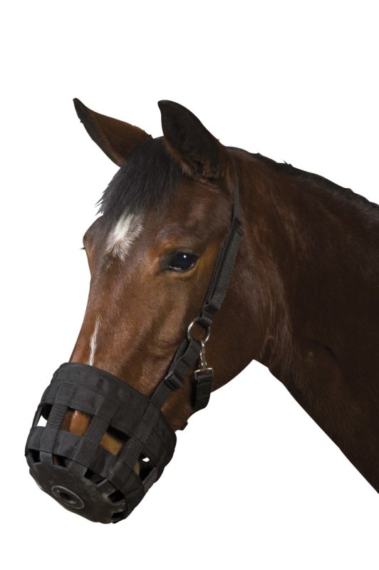 Roma Nylon Grazing Muzzle (Black only)