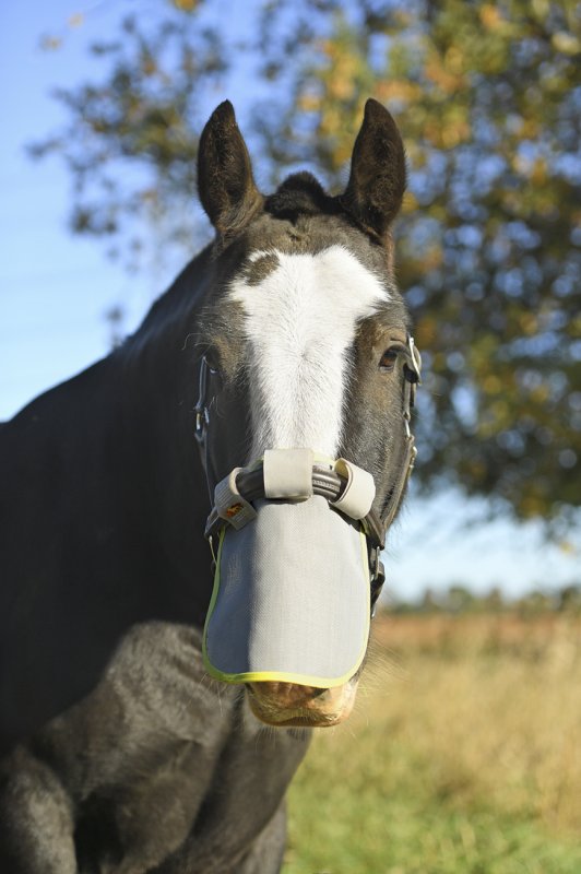 Equilibrium Field Relief Muzzle Protector