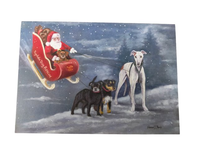 Ryedale Dog Rescue Charity Christmas Cards - 5pk