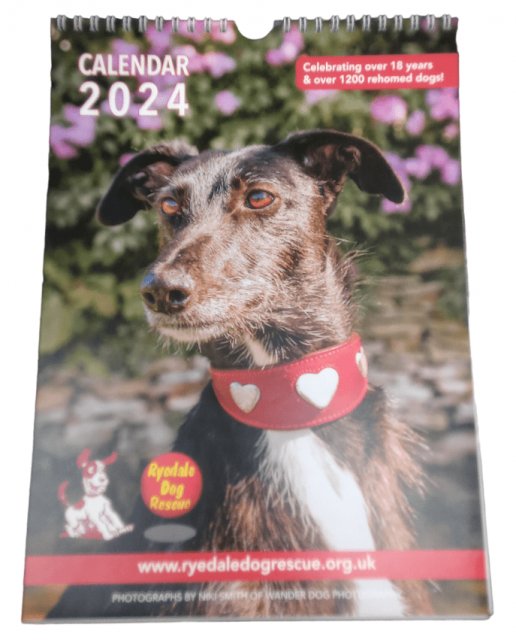 Ryedale Dog Rescue Charity 2024 Calendar