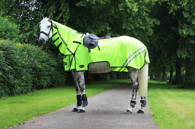 Gallop Gallop Ride-on Fly Rug Combo