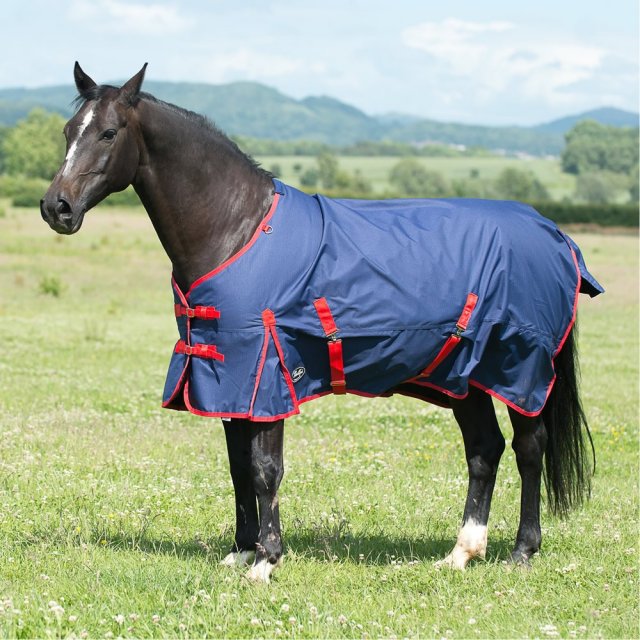 Gallop Gallop Trojan 200g Turnout Rug Standard Neck