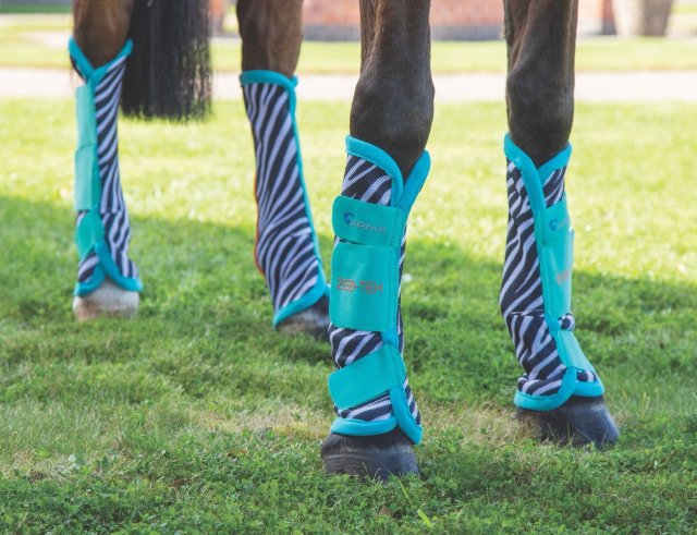 Shires Equestrian SHIRES ARMA FLY TURNOUT SOCKS