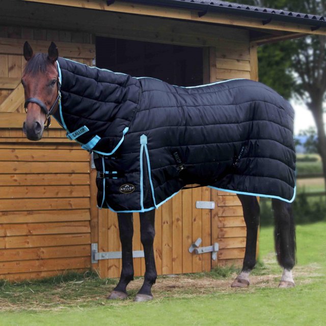 Gallop Gallop Maverick/trojan 300 Combo Stable Rug