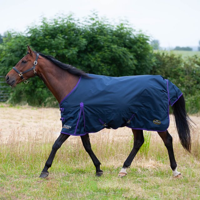 Gallop Gallop Lite-weight Trojan Standard Neck Turnout Rug