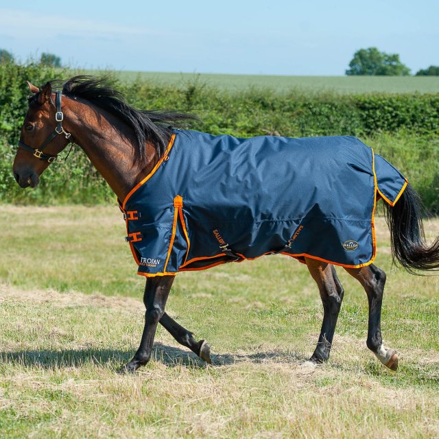 Gallop Trojan Horse Turnout Rug 0G Fill LightWeight Standard Neck In Gallop Trojan Horse Turnout Rug 0G Fill LightWeight Standard Neck In