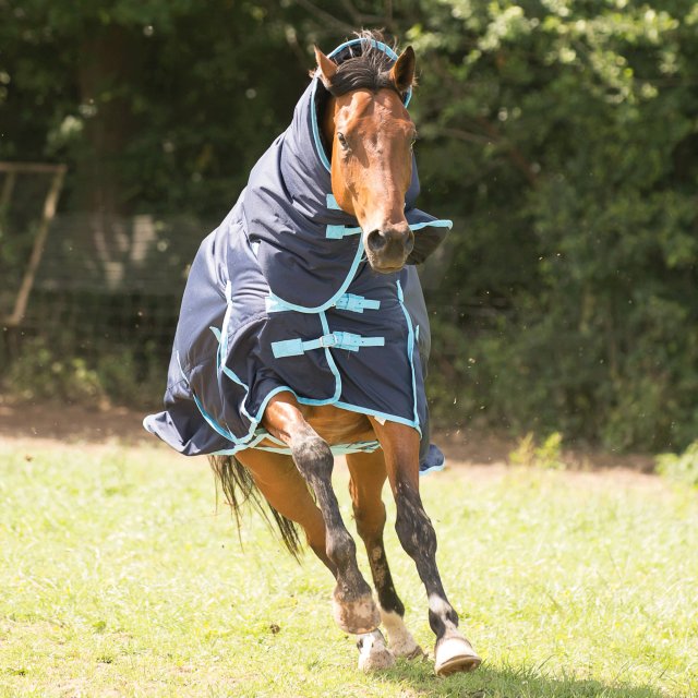 Gallop Trojan 350g Heavyweight Horse Turnout Rug Combo Full Neck Waterproof 