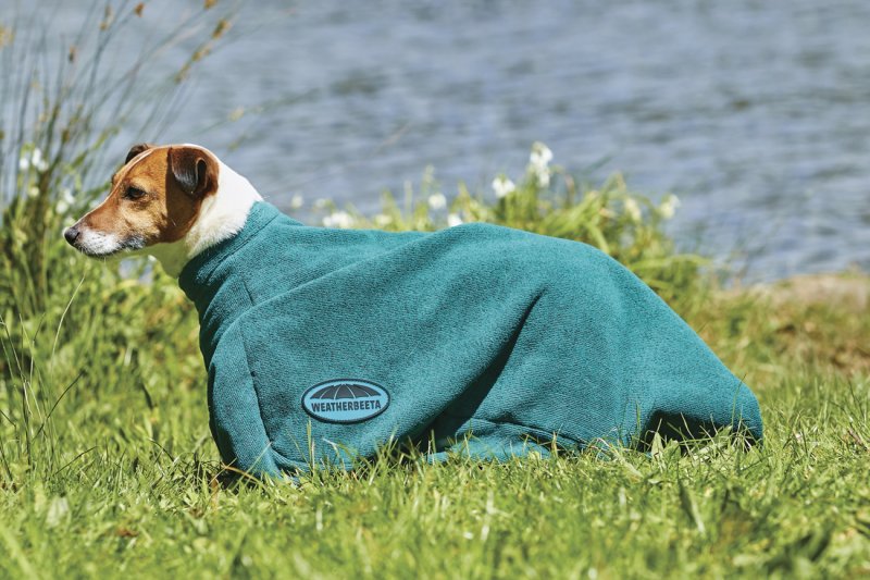WeatherBeeta Dry-Dog Bag