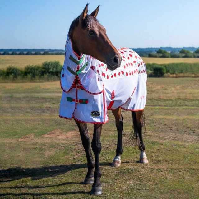 Gallop Gallop Berries & Cherries Combo Fly Rug