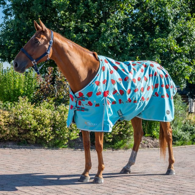 Gallop Trojan Berries & Cherries Light Turnout Rug Robinsons Equestrian