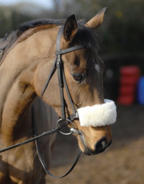 Nuumed Nuumed Ea08a Noseband Cover