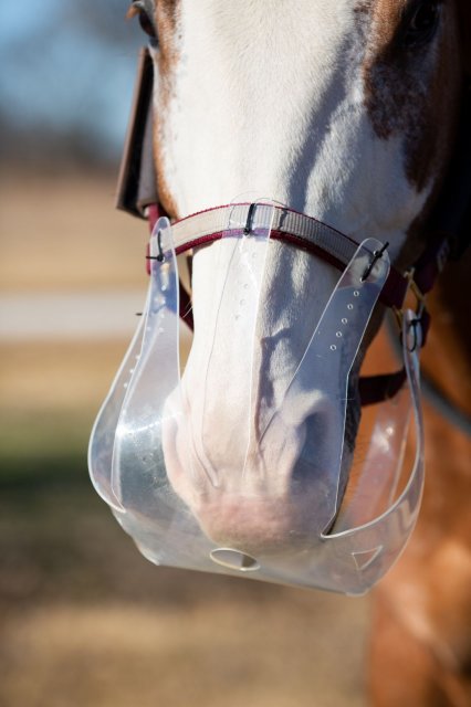 KM Elite Thinline Flexible Filly Grazing Muzzle