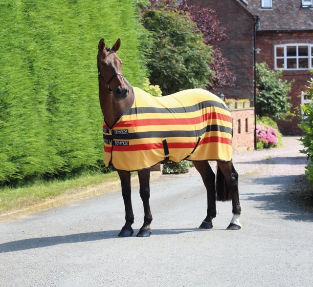 Shires Equestrian Shires Tempest Original Newmarket Fleece Rug