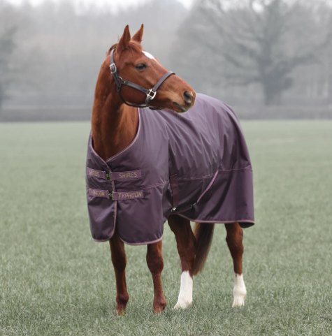 Shires Equestrian Shires Typhoon 100 Turnout Rug