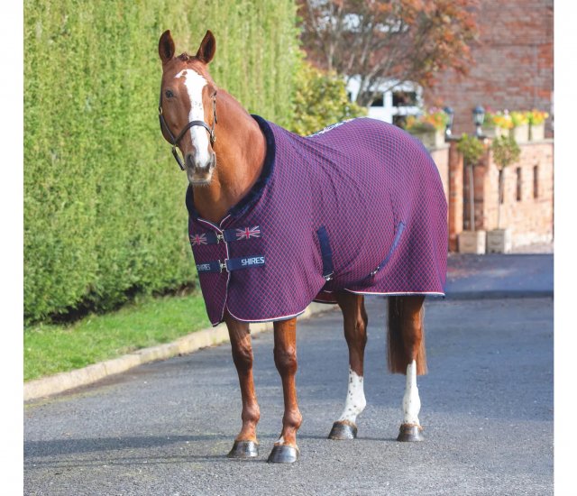 Shires Equestrian Shires Tempest Original Team Shires Rug