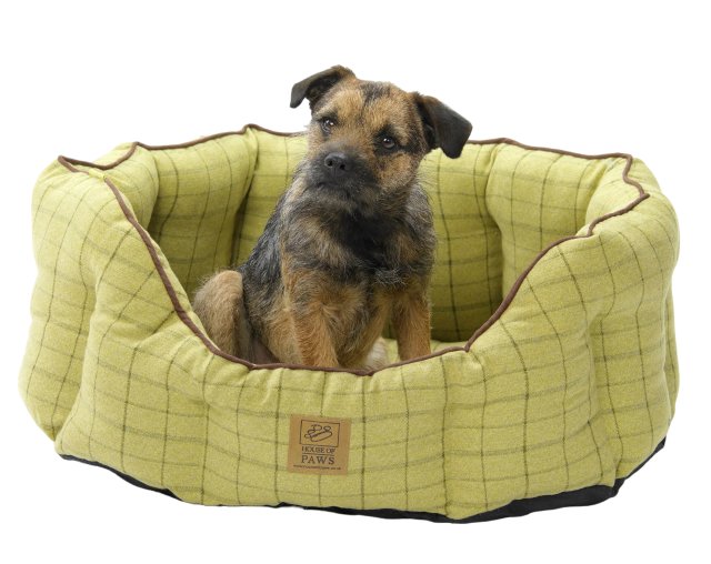 House of Paws House of Paws Green Tweed Oval Snuggle Bed