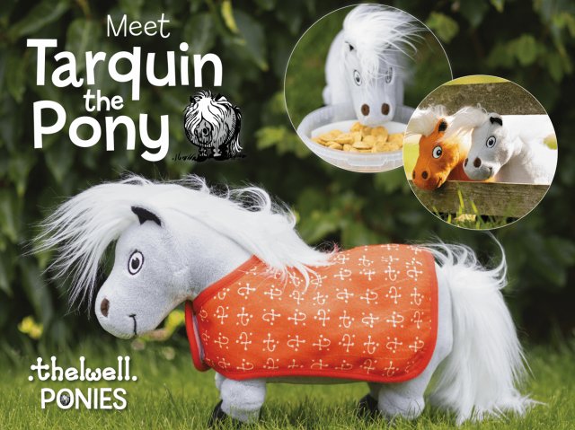 Hy Equestrian Hy Equestrian Thelwell Ponies - Tarquin the Pony