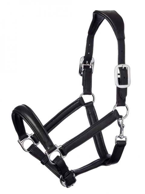 LeMieux LeMieux Anatomic Headcollar