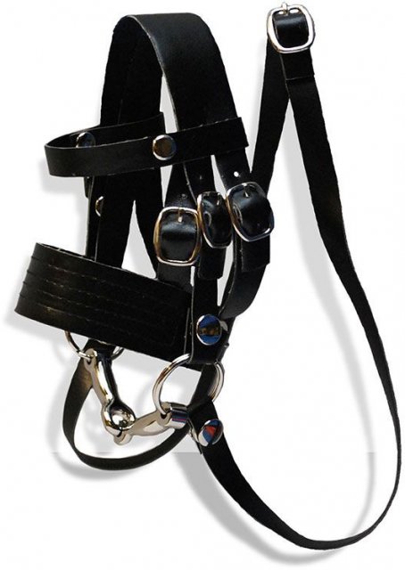 Crafty Ponies Crafty Ponies Bridle