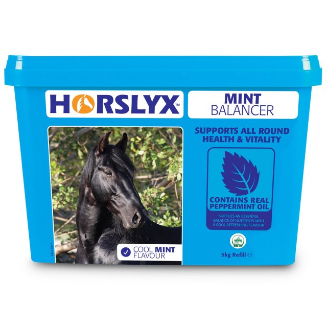 Horslyx Horslyx Mint Balancer - 5kg