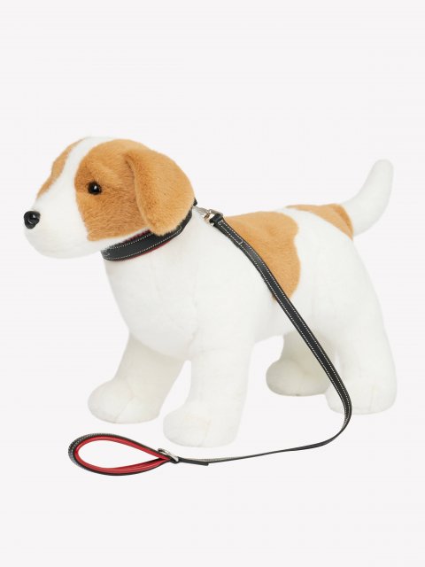 LeMieux Lemieux Puppy Dog Collar & Lead
