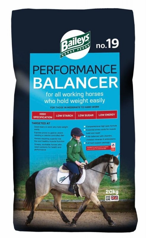 Baileys Baileys No.19 Performance Balancer - 20kg