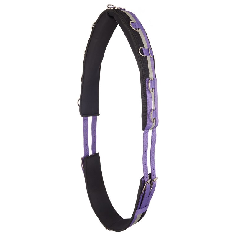 Imperial Riding Imperial Riding Lunging Girth Nylon Irhdeluxe Royal Purple