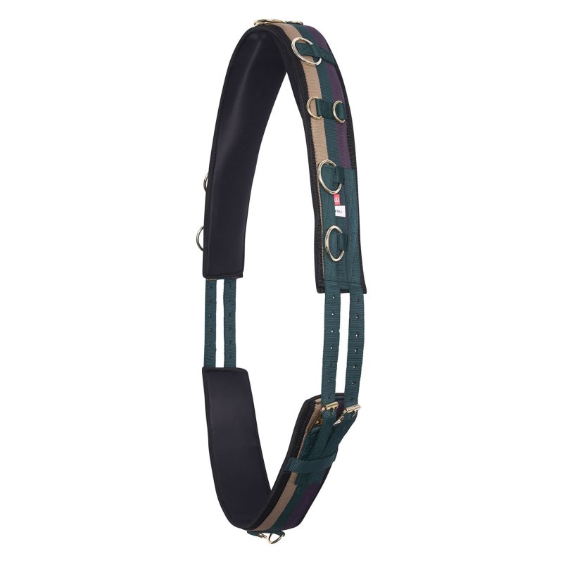 Imperial Riding Imperial Riding Lunging Girth Deluxe Extra Multi Forest Grn