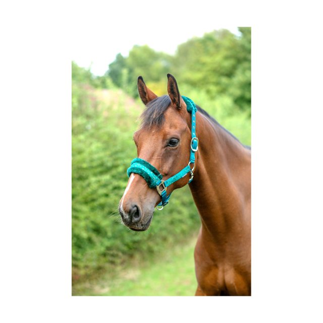 Hy Equestrian Hy Equestrian Dazzle Head Collar