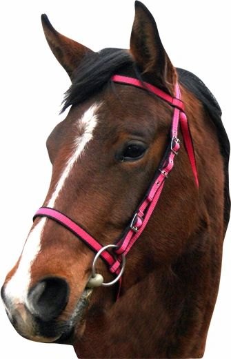 Iv Horse Webbing Bridle With ½'' Rubber Reins