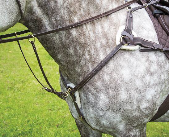 Shires Equestrian SHIRES SALISBURY FIVE POINT BREASTPLATE