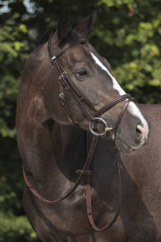 Stubben Snaffle Bridle Leitrim