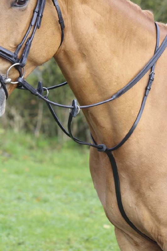 Aviemore Running Martingale