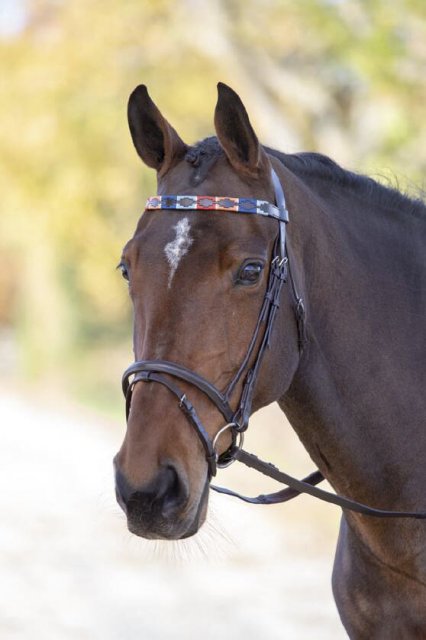 Shires Equestrian Shires Blenheim Leather Polo Browband