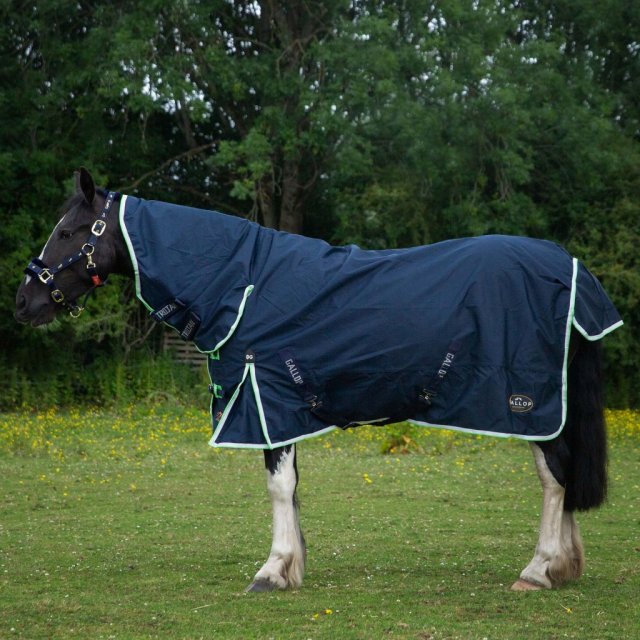 Gallop Gallop Trojan Duraproof Lightweight Turnout Combo