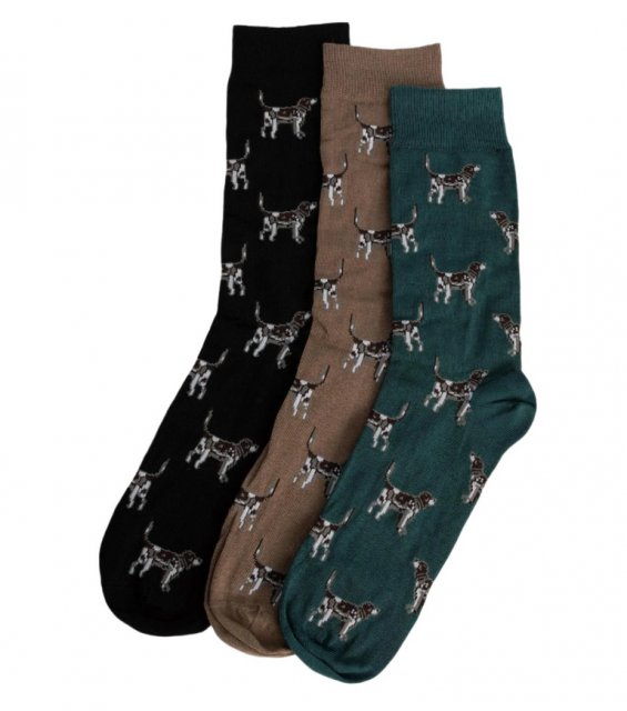 Barbour Barbour Pointer Dog Sock Gift Set
