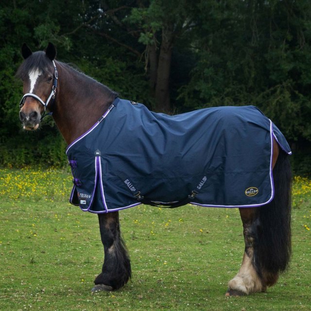 Gallop Gallop Trojan Duraproof Standard Lightweight Turnout